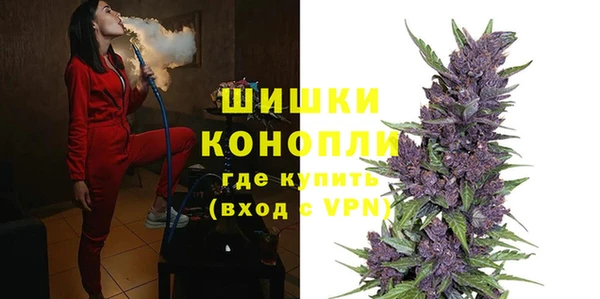 крисы Бронницы