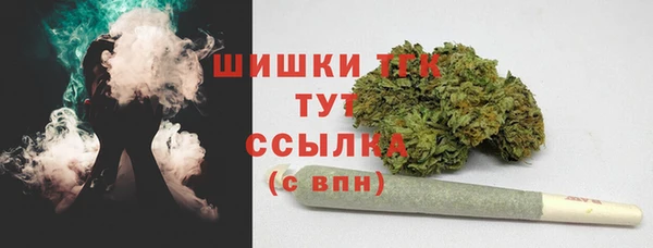 дживик Богородск