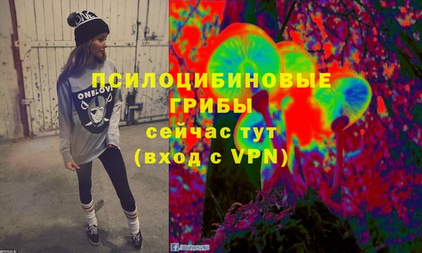 крисы Бронницы