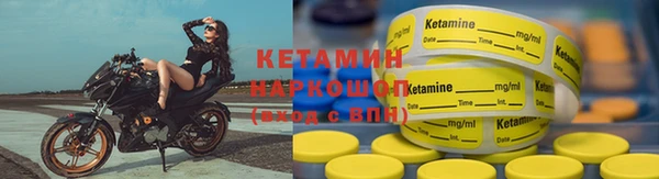 крисы Бронницы