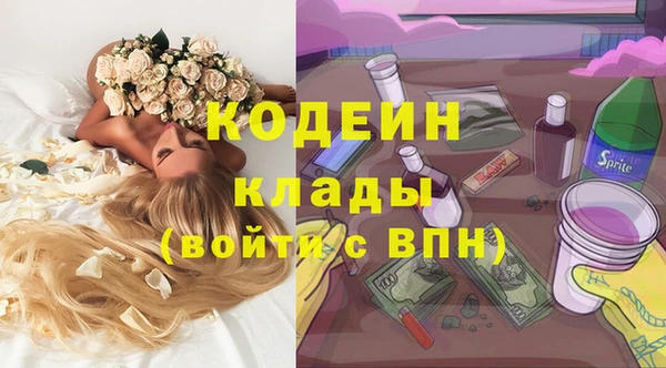 крисы Бронницы